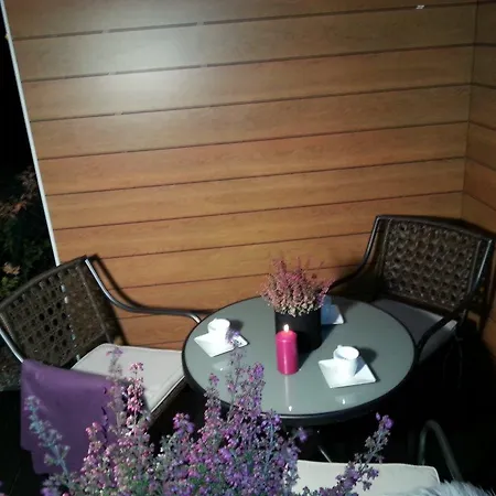Apartament Nove Orlowo